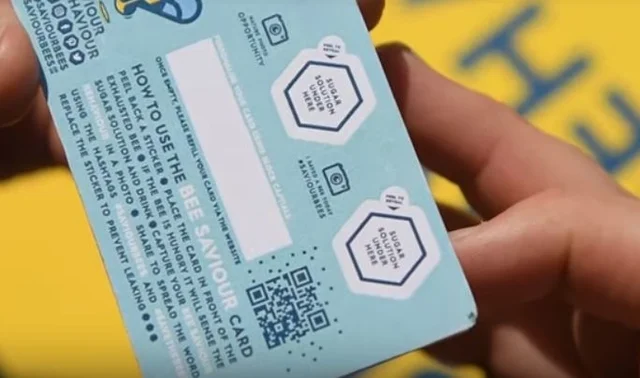 The cards are easy to use (Photo: SWNS)