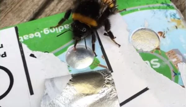 The product is the work of an art graduate (Photo: SWNS)