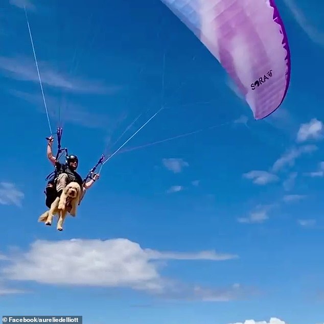 In the videos, Snickers can be seen attached to Mr Elliot via a harness while safely gliding through the air