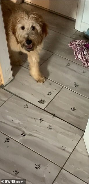 Astounded, she says: 