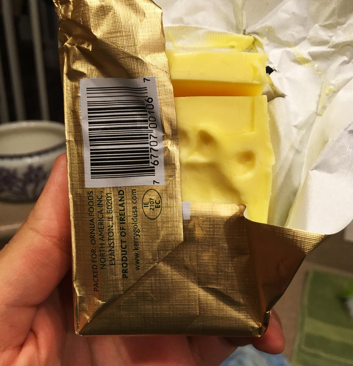 20+ Things Our Pets Do When We Are Not Looking