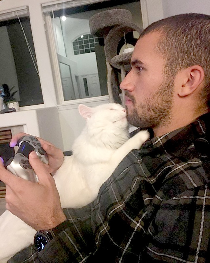 26 Photos That’ll Keep You Smiling Through the Rest of This Fall