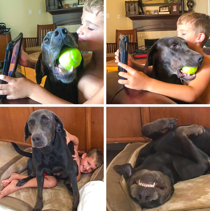 26 Photos That’ll Keep You Smiling Through the Rest of This Fall