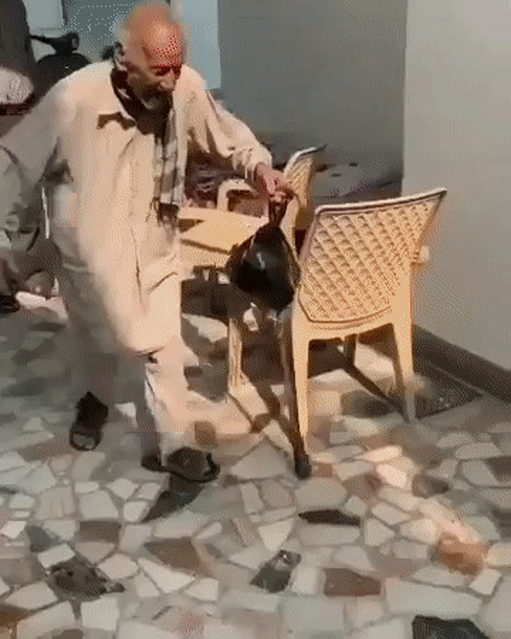 26 Photos That’ll Keep You Smiling Through the Rest of This Fall