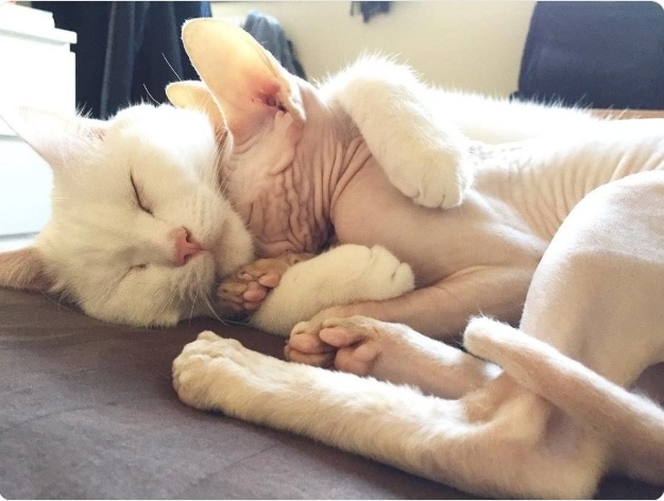 26 Photos That’ll Keep You Smiling Through the Rest of This Fall