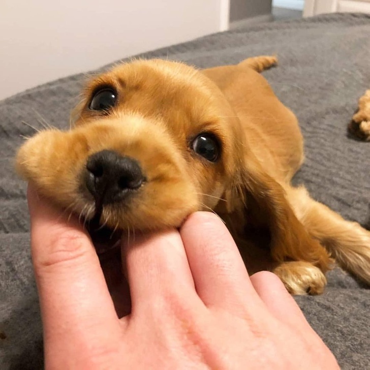 26 Photos That’ll Keep You Smiling Through the Rest of This Fall