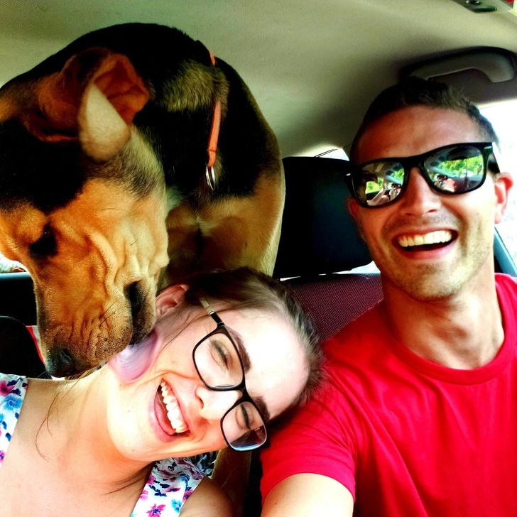 26 Photos That’ll Keep You Smiling Through the Rest of This Fall