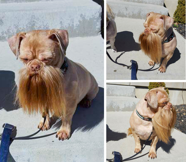 26 Photos That’ll Keep You Smiling Through the Rest of This Fall