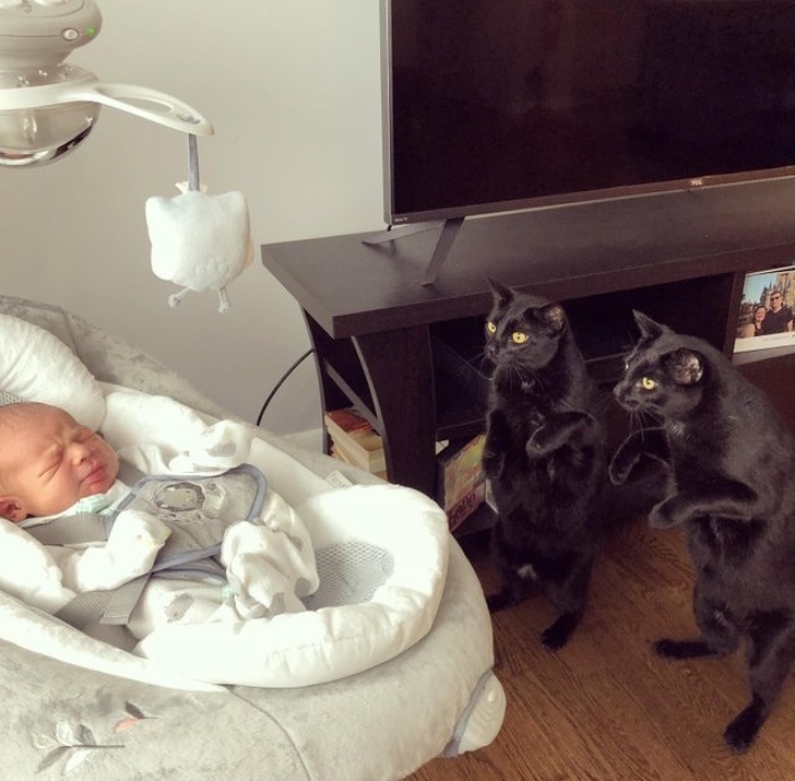 26 Photos That’ll Keep You Smiling Through the Rest of This Fall