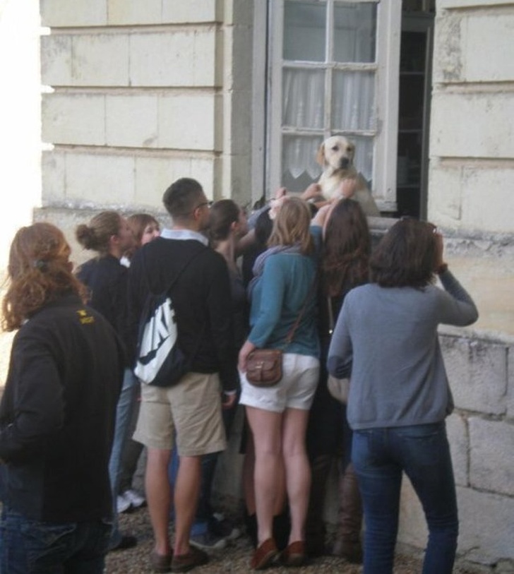 26 Photos That’ll Keep You Smiling Through the Rest of This Fall