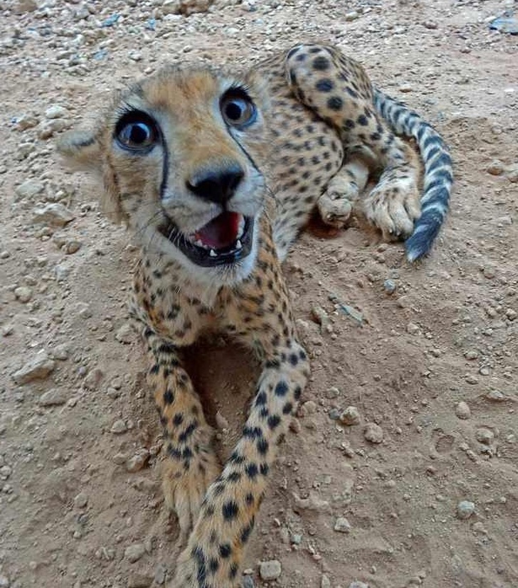 26 Photos That’ll Keep You Smiling Through the Rest of This Fall