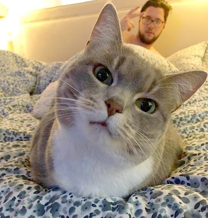 26 Photos That’ll Keep You Smiling Through the Rest of This Fall