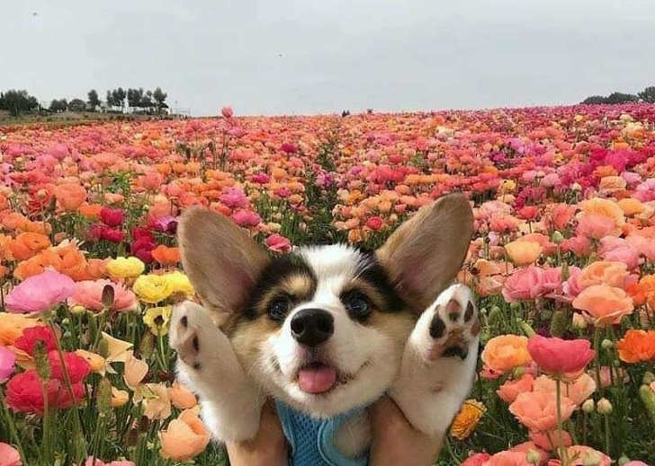 26 Photos That’ll Keep You Smiling Through the Rest of This Fall