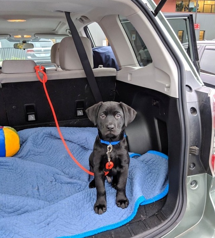 26 Photos That’ll Keep You Smiling Through the Rest of This Fall