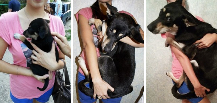 20+ Animals That Had a Surprise in Store for Their Owners