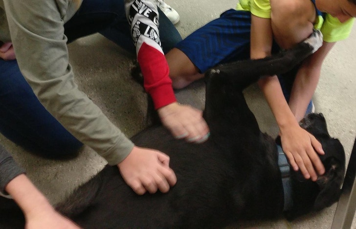 20+ Animals That Had a Surprise in Store for Their Owners