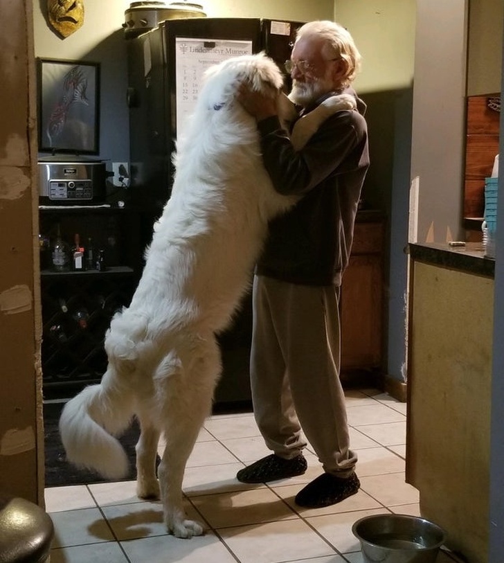 20+ Animals That Had a Surprise in Store for Their Owners