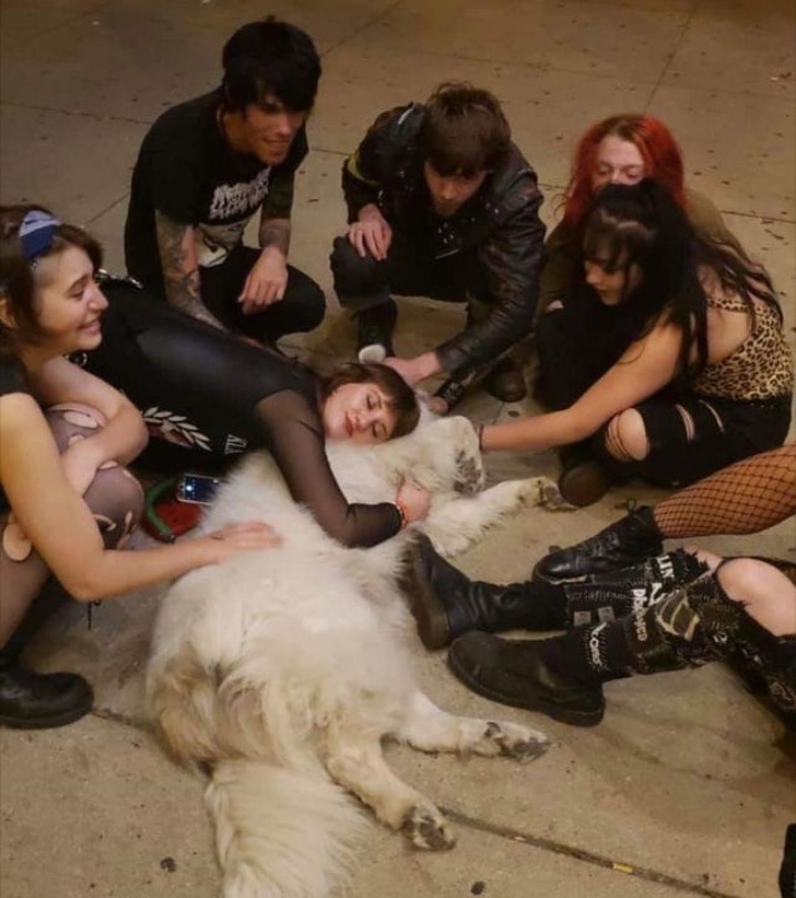 20+ Animals That Had a Surprise in Store for Their Owners