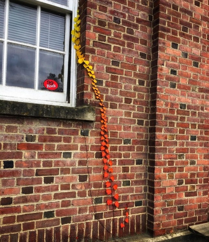 21 Photos That Can Make Your Inner Perfectionist Squeal With Delight