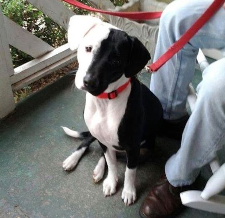 20 Photos Proving That Nature Can Joke Around Better Than a Stand-Up Comic