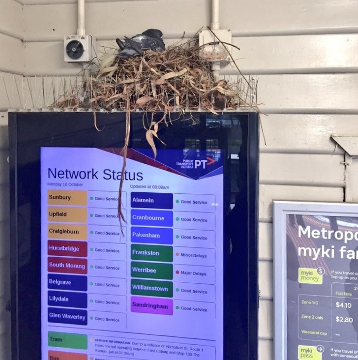 20 Photos Proving That Nature Can Joke Around Better Than a Stand-Up Comic