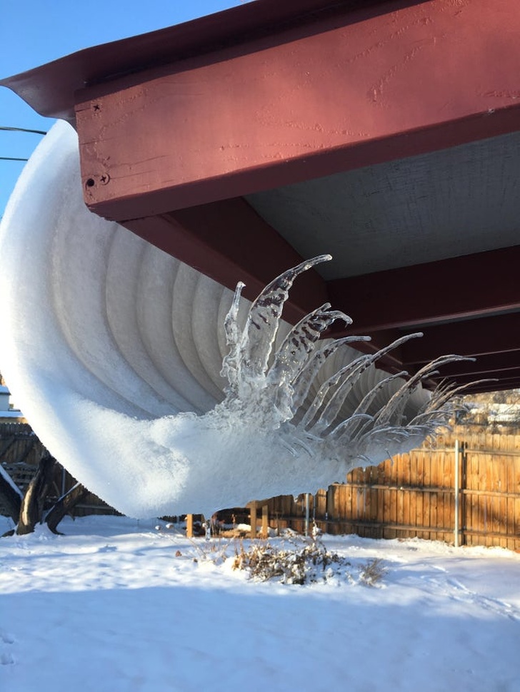 20 Photos Proving That Nature Can Joke Around Better Than a Stand-Up Comic