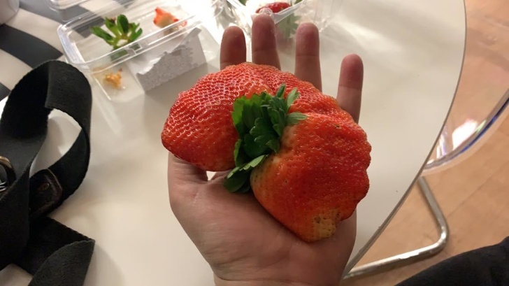 20 Photos Proving That Nature Can Joke Around Better Than a Stand-Up Comic