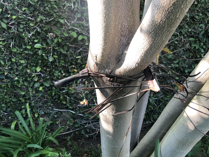 20 Photos Proving That Nature Can Joke Around Better Than a Stand-Up Comic