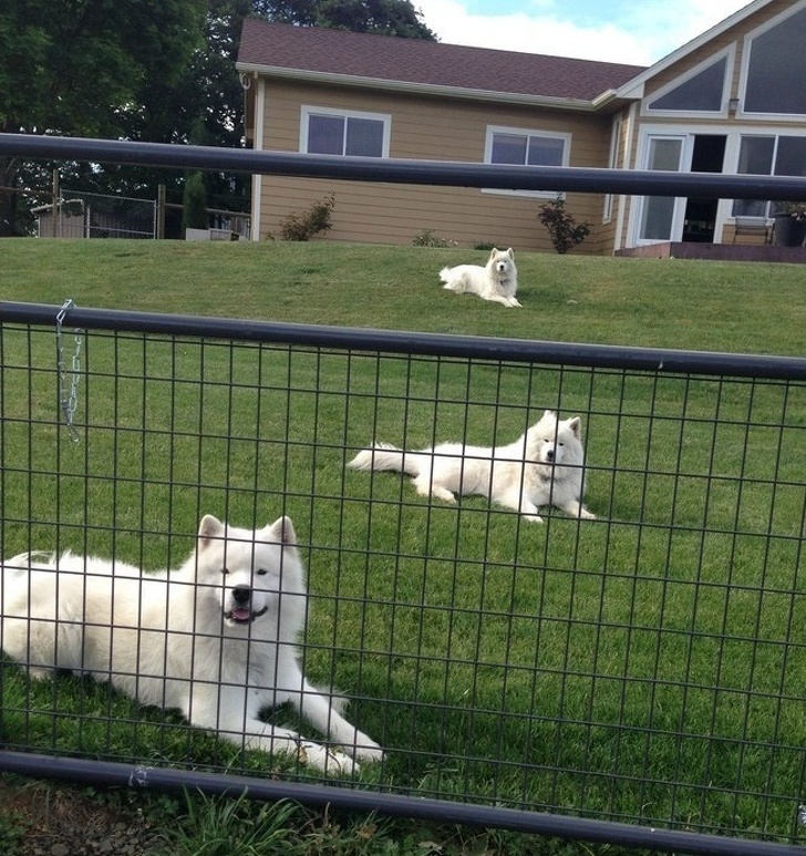 20 One in a Million Photos That Made Us Say, “Bingo!”