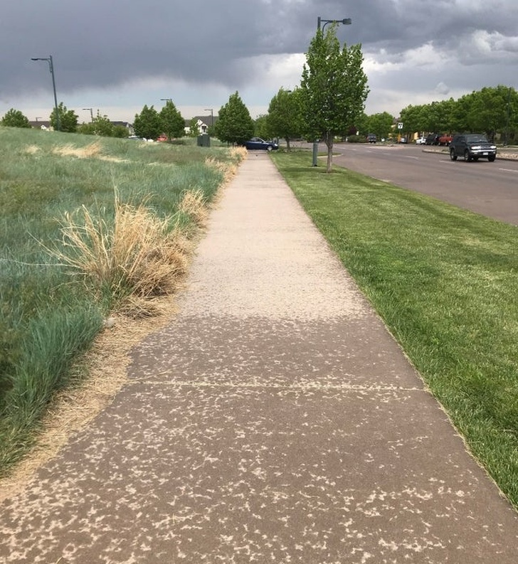 20 One in a Million Photos That Made Us Say, “Bingo!”