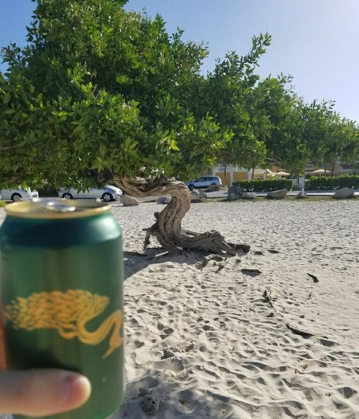 20 One in a Million Photos That Made Us Say, “Bingo!”