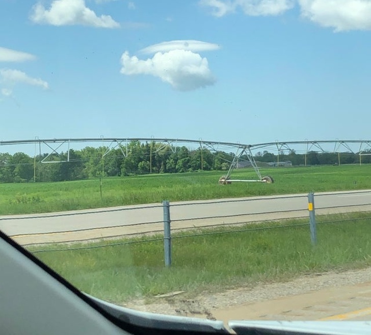 20 One in a Million Photos That Made Us Say, “Bingo!”