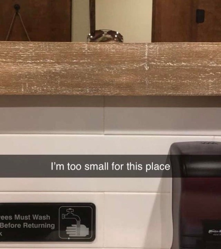 27 Photos That Show the Struggles Short People Have to Deal With Daily