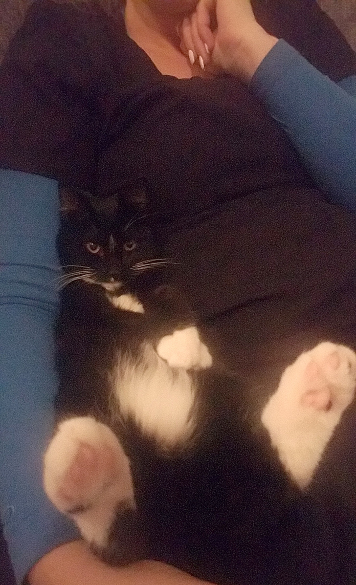 19 People Who Were Against Keeping Pets, but Can’t Live Without Them Now