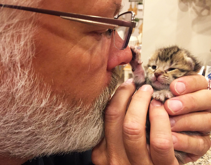 19 People Who Were Against Keeping Pets, but Can’t Live Without Them Now