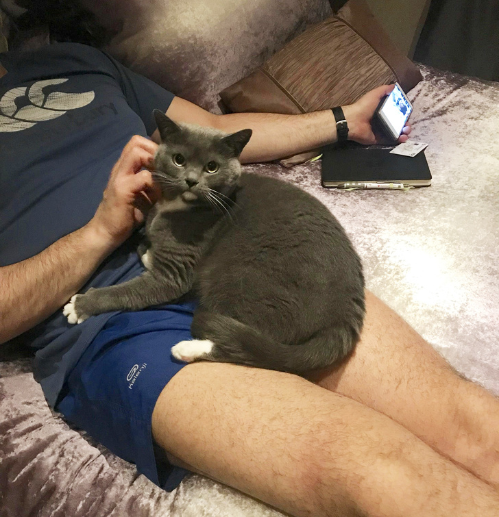 19 People Who Were Against Keeping Pets, but Can’t Live Without Them Now