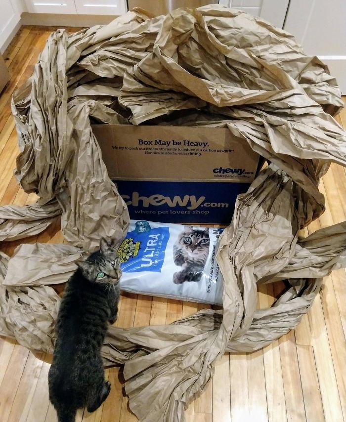 50 Feet Of Paper For 1 Bag Of Kitty Litter 50 Feet Of Paper For 1 Bag Of Kitty Litter