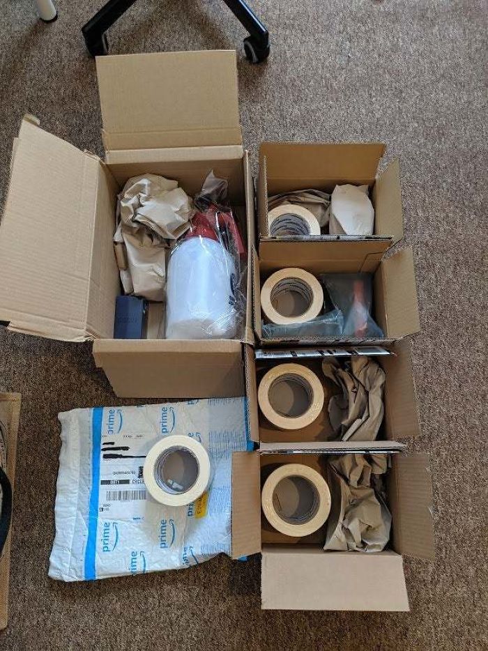 During Their Mating Season, The Masking Tape Must Be Separated To Avoid Unnecessary Violence During Their Mating Season, The Masking Tape Must Be Separated To Avoid Unnecessary Violence