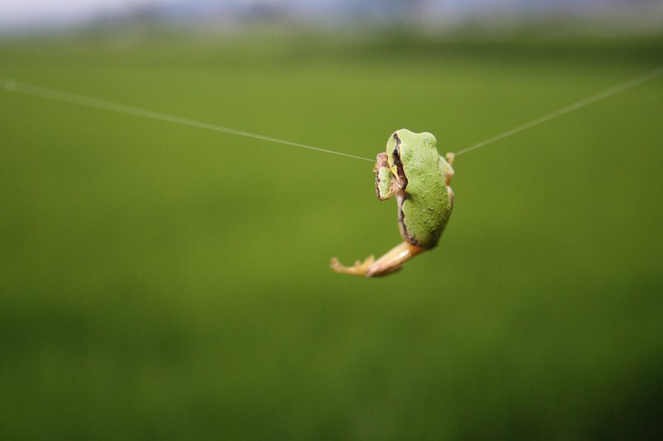 23 Pictures From People Who Had Just One Chance to Take a Photo and They Didn’t Miss It