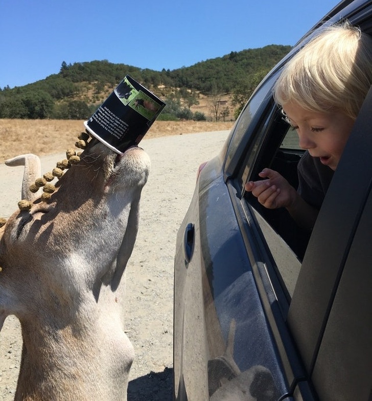 23 Pictures From People Who Had Just One Chance to Take a Photo and They Didn’t Miss It