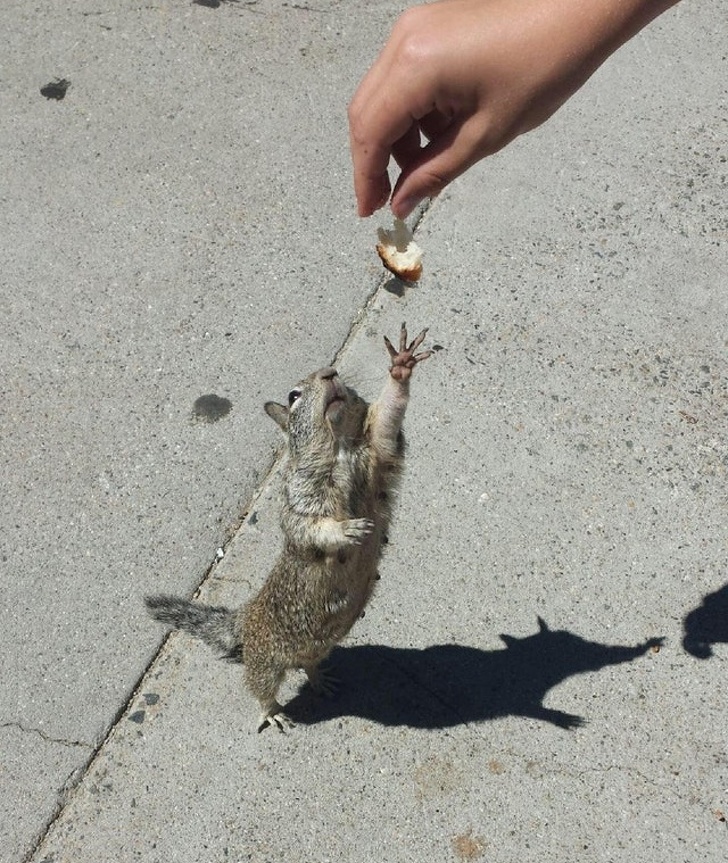 23 Pictures From People Who Had Just One Chance to Take a Photo and They Didn’t Miss It