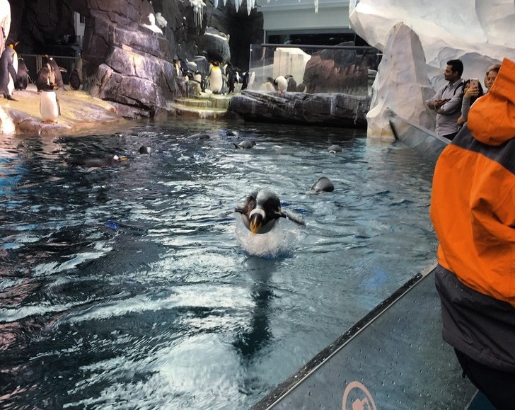 23 Pictures From People Who Had Just One Chance to Take a Photo and They Didn’t Miss It