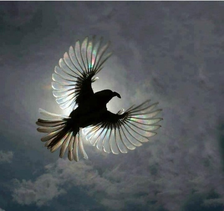 23 Pictures From People Who Had Just One Chance to Take a Photo and They Didn’t Miss It