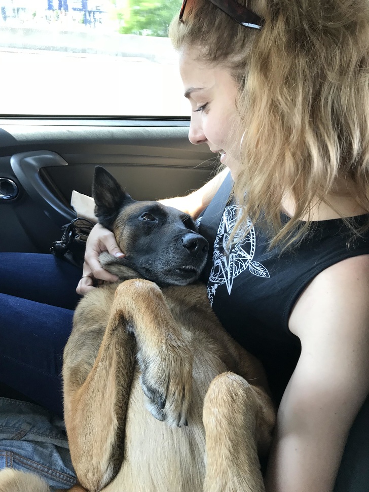 21 Dog Photos That Are Better Than Any Antidepressants