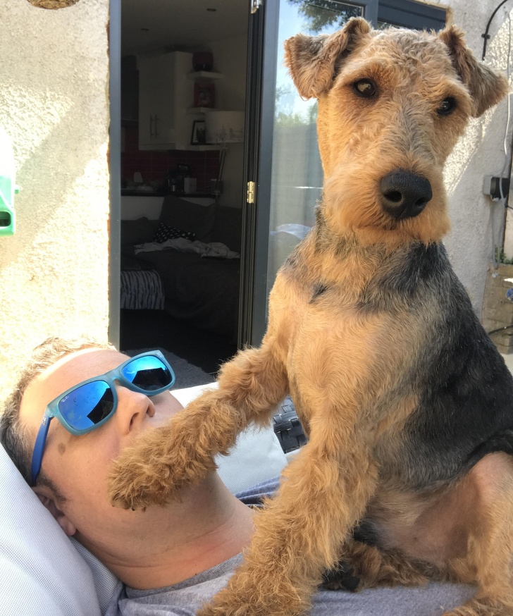 21 Dog Photos That Are Better Than Any Antidepressants