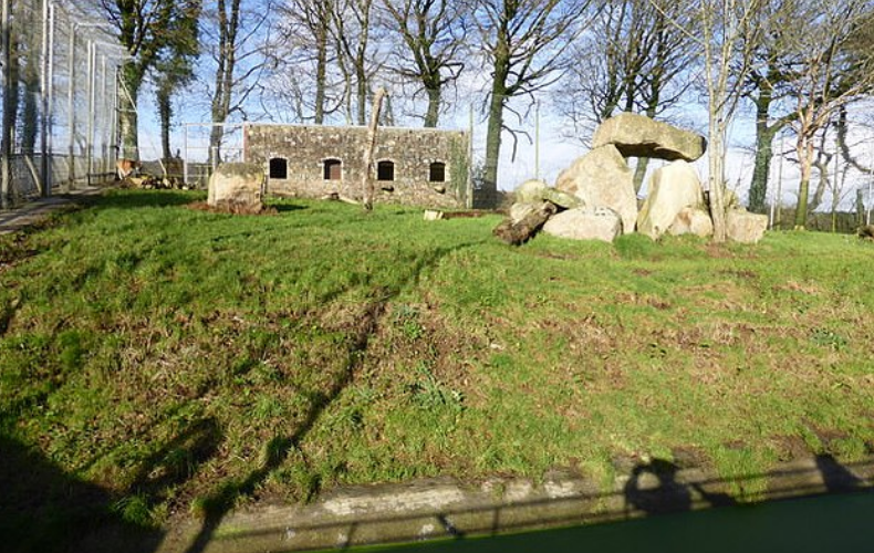 Human vs. Beast Challenge at Dartmoor Zoo Lets Visitors Play Tug of War
