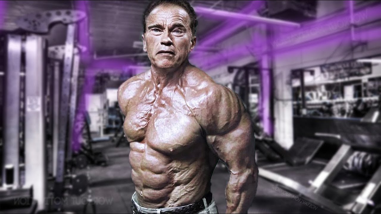 Arnold Schwarzenegger Revealed Gym Mistakes That Annoy Him The Most Small Joys