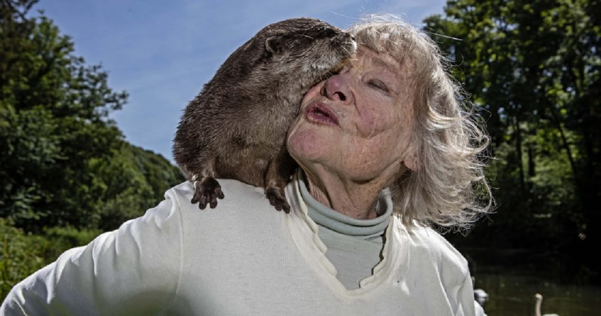 A Woman With Great Passion For Otters Walk Around With An Otter On Her ...