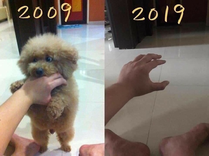 24 Heart-Wrenching Photos That Prove Time Will Never Come Back