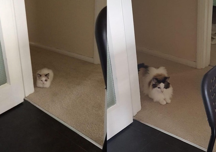 24 Heart-Wrenching Photos That Prove Time Will Never Come Back